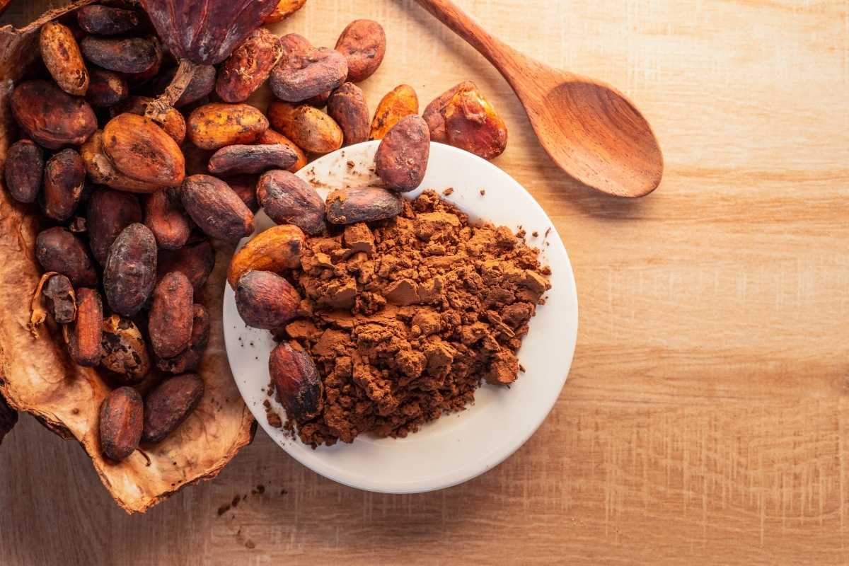 Are Cocoa Powder And Cacao Powder The Same Explained Indonesian