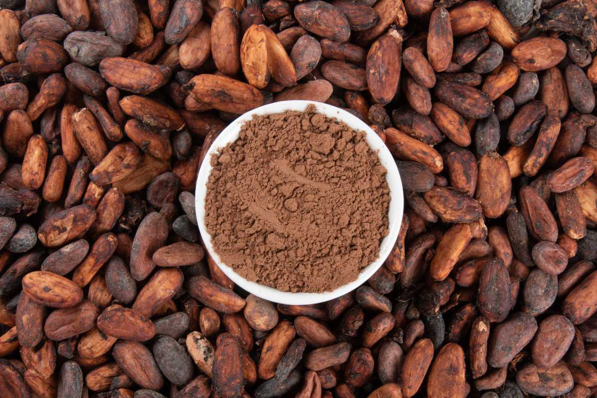 Indonesian Cocoa Powder 7