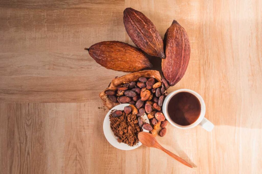 Cocoa Processing Steps