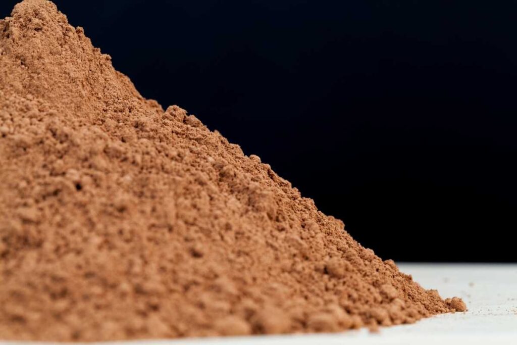 best cocoa powder for health