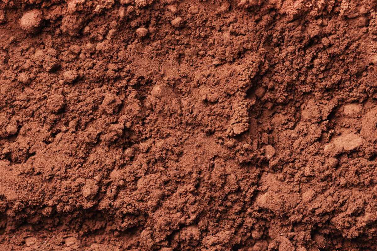 Best Cocoa Powder to Buy Top Picks for Baking Delights Indonesian