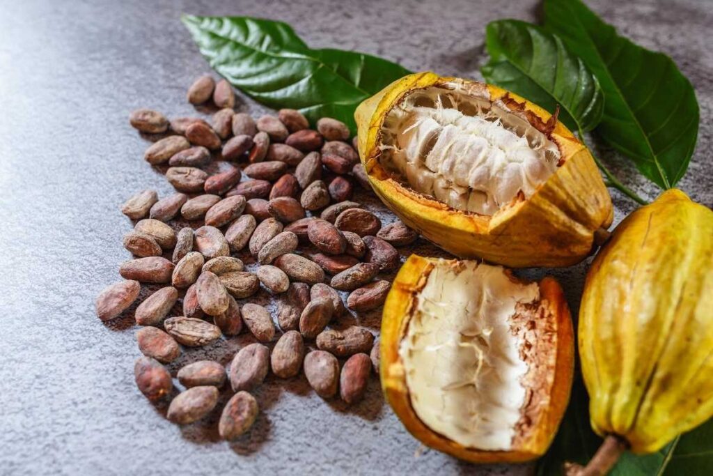 buy raw cocoa