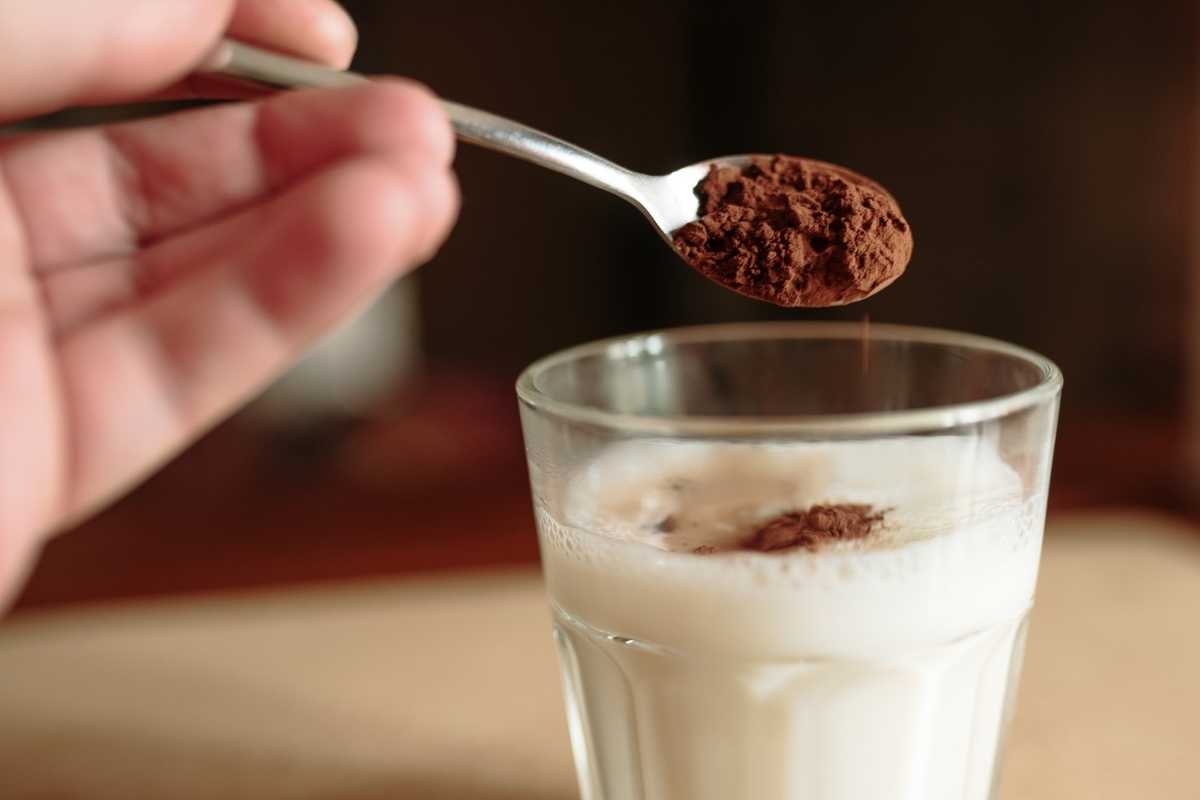 Can I Put Cocoa Powder in Milk? Easy Chocolate Milk Recipe
