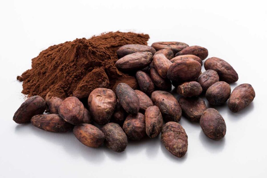 cocoa beans to powder