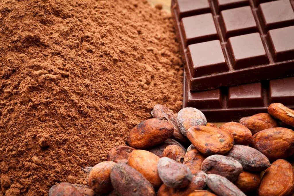 cocoa distributors