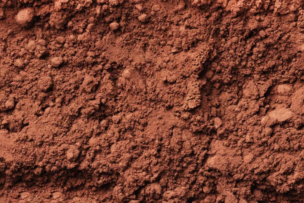 cocoa powder bulk