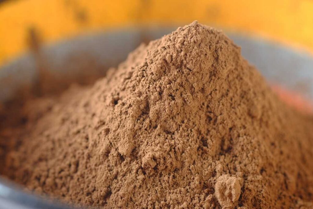cocoa powder suppliers in india