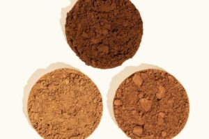 dutch process cocoa powder malaysia